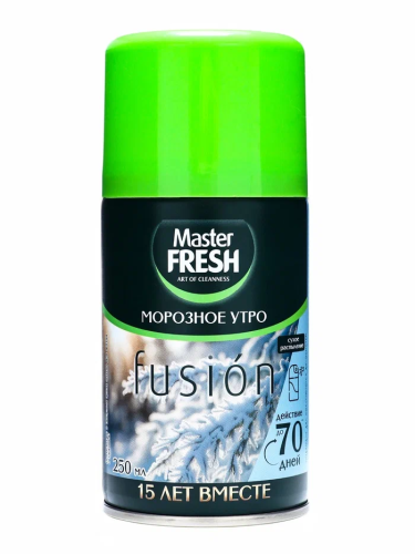 MASTER FRESH освежитель воздуха морозное утро см.баллон 250мл